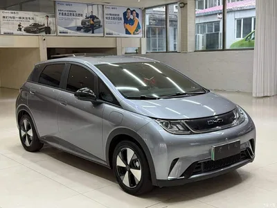 2023 BYD Dolphin 420km Freedom Edition, фото 3, лот 10251967