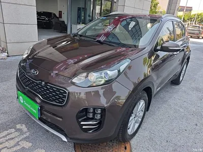 2016 Kia KX5 Model 1.6T Automatic 2WD DLX, фото 1, лот 10337833