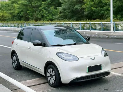 2024 Wuling Motors Wuling Bingo 410km Smart Premium Edition, фото 1, лот 10372204