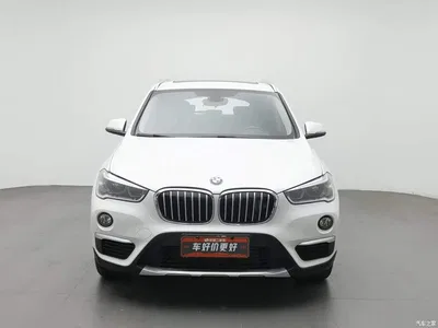 2018 BMW X1 xDrive20Li Premium Model, фото 3, лот 10393731