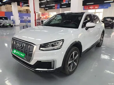 2019 Audi Q2L e-tron Pure Electric Smart Enjoyment, фото 2, лот 10473223
