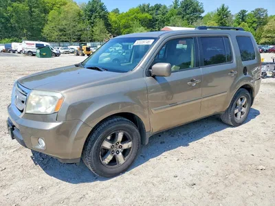 2009 HONDA PILOT EXL, фото 1, лот 10681352