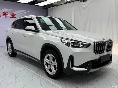 2023 BMW X1 sDrive20Li X Design Package, фото 3, лот 10465809
