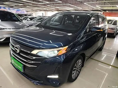 2019 GAC Trumpchi Trumpchi M6 270T DCT Premium Edition (7-seater) (China VI), фото 1, лот 10422820