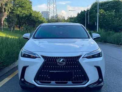 2022 Lexus NX 260 FWD Joy Creation Edition, фото 2, лот 10318250