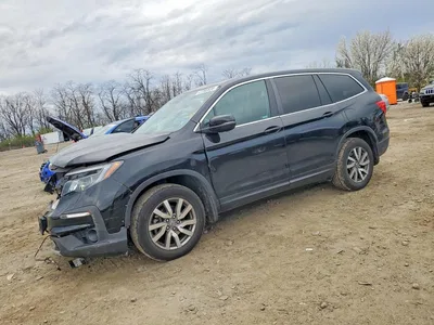 2021 HONDA PILOT EXL, фото 1, лот 10999390