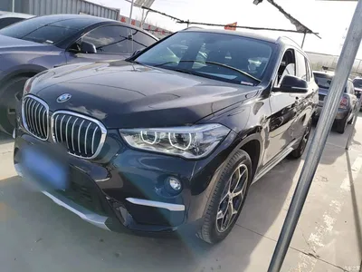 2019 BMW X1 sDrive18Li Premium Model, фото 1, лот 10467513