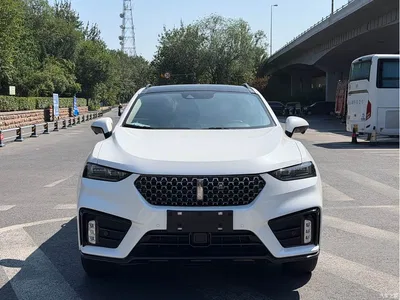 2020 WEY VV7 2.0T Super Luxury, фото 1, лот 10452015