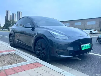 2024 Tesla Model Y Long Range AWD, фото 3, лот 10842821