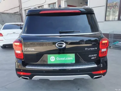 2017 GAC Trumpchi Trumpchi GS8 320T 2WD Luxury Smart Connect (7-seater), фото 4, лот 11137160