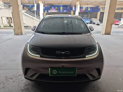 2021 BYD Dolphin Model 405km Fashion Edition, фото 3, лот 10264034