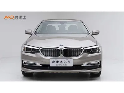 2018 BMW 5 Series 525Li Luxury Package, фото 2, лот 10482652