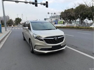 2020 Buick GL8 Model ES Landglory 653T Premium, фото 1, лот 10255136