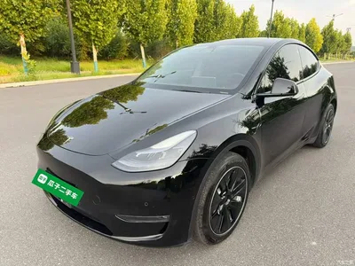 2021 Tesla Model Y Standard Range Rear-Wheel Drive, фото 2, лот 10370191