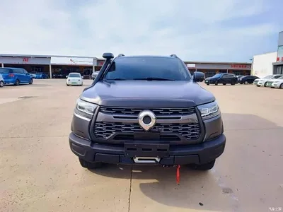 2021 Great Wall Pao 2.0T Off-Road Automatic Diesel 4WD Everest Edition GW4D20M, фото 2, лот 10364244