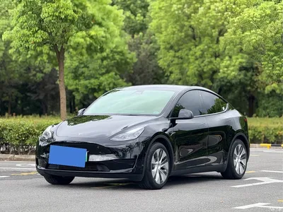 2022 Tesla Model Y Rear-Wheel Drive Version, фото 1, лот 11241849