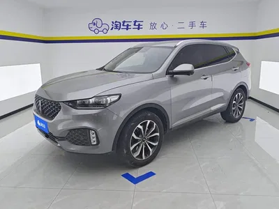 2020 WEY VV6 2.0T 2WD Smart Protection+, фото 1, лот 11018554