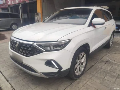2021 Jetta VS7 30th Anniversary Edition 1.4T Auto Deluxe, фото 2, лот 10427525