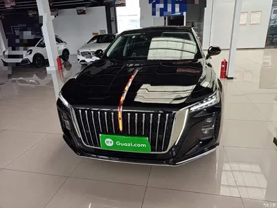 2024 Hongqi H5 1.5T DCT Smart Connect Flag Rhythm Edition, фото 3, лот 11223366