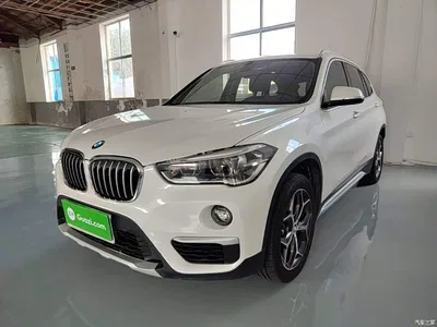 2019 BMW X1 xDrive20Li Premium Model, фото 1, лот 10467315