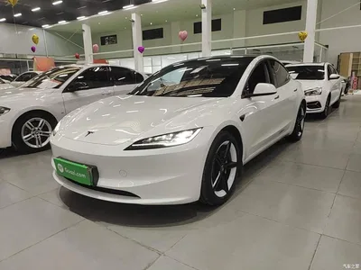 2025 Tesla Model 3 Model Rear-Wheel Drive Edition, фото 1, лот 11412458