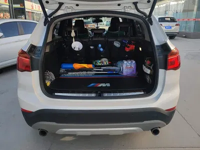 2018 BMW X1 xDrive20Li Luxury Model, фото 4, лот 11584424
