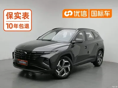 2023 Hyundai Tucson L 1.5T Automatic 2WD DLX Luxury Edition, фото 1, лот 10845937