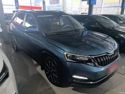 2020 Škoda Kamiq Model 1.5L Automatic Comfort, фото 4, лот 10347822