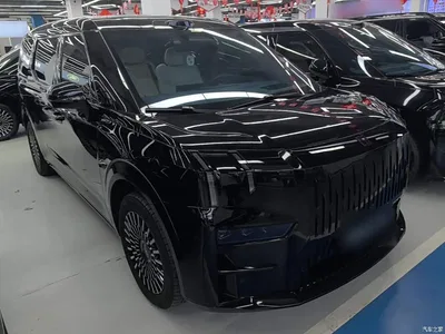 2024 ZEEKR 009 6-seat Executive AWD 108kWh, фото 4, лот 11579817