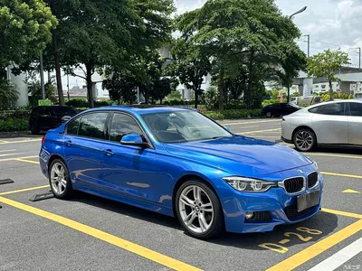 2017 BMW 3 Series 320Li M Sport, фото 3, лот 11222917