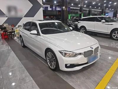 2019 BMW 3 Series 320Li Fashion Type, фото 4, лот 10812712