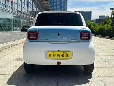 2019 Ora Black Cat 301km Standard, фото 4, лот 10331142