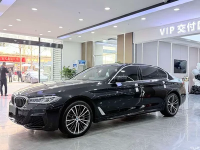 2022 BMW 5 Series 530Li Leading M Sport Package, фото 1, лот 10839181