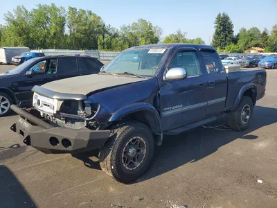 2003 TOYOTA TUNDRA SR5, фото 1, лот 10983802