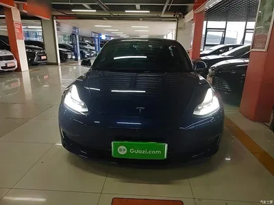 2020 Tesla Model 3 Facelift Long Range Rear-Wheel Drive, фото 3, лот 10390328