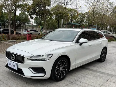 2020 Volvo V60 T4 Momentum Luxury, фото 1, лот 10365718