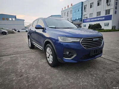 2018 Haval H4 Blue Label 1.5GDIT DCT Trend Edition, фото 4, лот 10612134