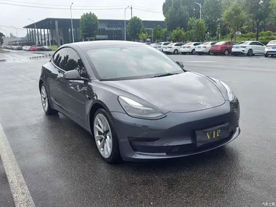 2021 Tesla Model 3 Standard Range Rear-Wheel Drive Upgrade 3D6, фото 2, лот 10366533