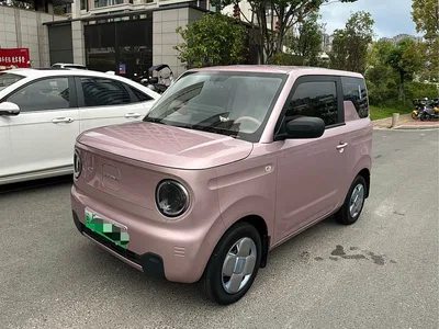 2023 Geely Galaxy Panda Mini 200km Endurance Bear, фото 2, лот 10448688
