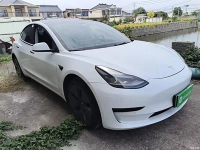 2023 Tesla Model 3 Rear-Wheel Drive, фото 4, лот 11017026
