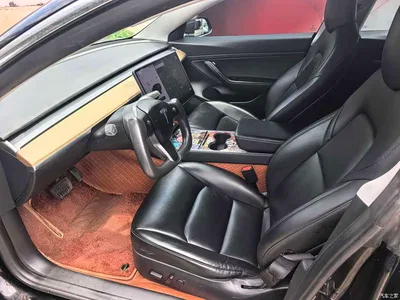 2020 Tesla Model 3 Standard Range Rear-Wheel Drive Upgrade, фото 4, лот 10352466