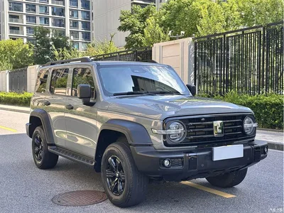 2021 Tank 300 Off-road Version 2.0T Conqueror, фото 3, лот 10511211