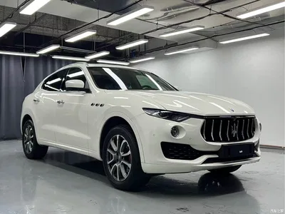 2016 Maserati Levante 3.0T Standard, фото 3, лот 10322409