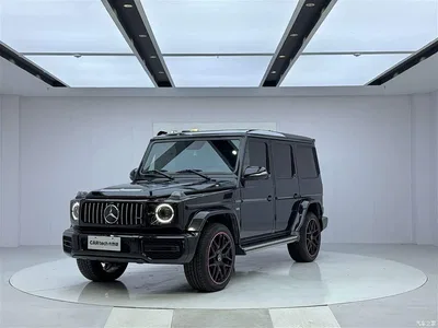 2010 Mercedes-Benz G-Class G 500, фото 1, лот 10323617