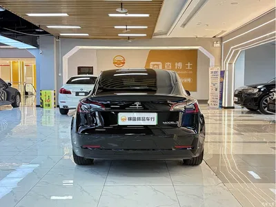 2022 Tesla Model 3 Performance High-Performance AWD, фото 4, лот 11095599