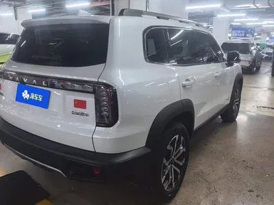 2024 Haval Big Dog 1.5T DCT Border Collie Edition, фото 3, лот 10405099