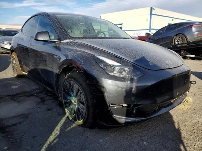 2025 TESLA MODEL Y, фото 4, лот 10857243