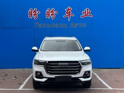 2021 Haval H6 National Trend Edition 1.5T Automatic Urban Edition, фото 2, лот 10282366