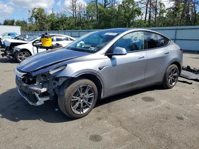 2025 TESLA MODEL Y, фото 1, лот 10855102