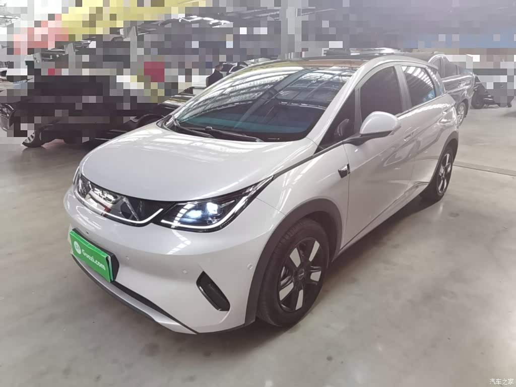 2025 BYD Dolphin Smart Drive Edition 410km Fashion Version, фото 1, лот 11225152